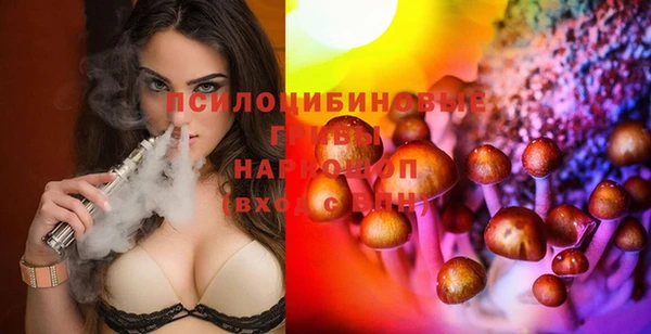 шишки Богданович